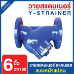 Y Strainer วายสแตนเนอร์ เหล็กหล่อ ขนาด 6 นิ้ว แบบหน้าแปลน 10K