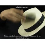 การกำจัดเชื้อราบน ผ้า