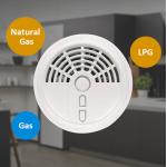 Wireless Gas(LPG) Detector Wireless-Gas(CO)-Detector-Smartplus อุปกรณตัวจับแก๊สแบบไร้สาย Smartplus