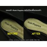 Snecker Shampoo - INSOLE LEATHER