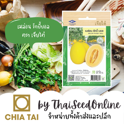 CTF1 เมล็ดพันธุ์ เมล่อน รักบี้บอล ตราเจียไต๋ Melon Rugby Ball
