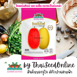Advance Seeds(ตราตะวันต้นกล้า) ADVPREMIUM แดงโม โกลเด้นคิงส์ 120 เมล็ด ตราตะวันต้นกล้า