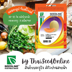 SL เมล็ดพันธุ์ซองเล็ก แคนตาลูปลูกผสม ทีเลดี้โกลด์ ตราซีดไลน์