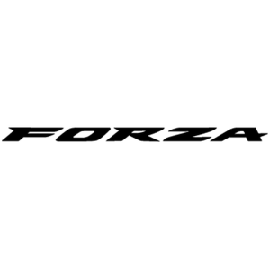 Forza 300
