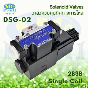 DSG-02-2B3B-AC**/ DC** วาล์วไฟฟ้า ตำแหน่งปกติ P-A-B-T (WILSON) Single Coil Terminal G01/G02 Solenoid Valve Hydraulic
