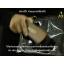 แปรงขนม้า แท้จากเยอรมัน Horse Hair Brush Made in Germany