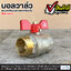 บอลวาล์ว (Ball Valve) เกลียวนอก และเกลียวใน ขนาด 4 หุน (1/2")