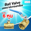 Ball valve บอลวาล์วทองเหลือง ขนาด 6 หุน