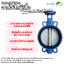 Butterfly Valve วาล์วปีกผีเสื้อ ขนาด 8 นิ้ว