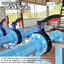 Butterfly Valve ชุดวาล์วปีกผีเสื้อ ขนาด 6 นิ้ว พร้อมข้อต่อหน้าแปลน PVC