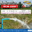 ปั๊มน้ำหอยโข่ง ชนิดแรงดันปานกลาง (แบบหน้าแปลน) MITSUBISHI รุ่น WCM-2205FT | 3HP ขนาดท่อ 2x2 นิ้ว กำลังไฟ 380V