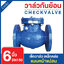 เช็ควาล์ว (Check Valve) เช็ควาล์วเหล็กหล่อ แบบหน้าแปลน ขนาด 6 นิ้ว