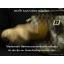 แปรงขนม้า แท้จากเยอรมัน Horse Hair Brush Made in Germany
