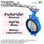 Butterfly Valve วาล์วปีกผีเสื้อ ขนาด 8 นิ้ว