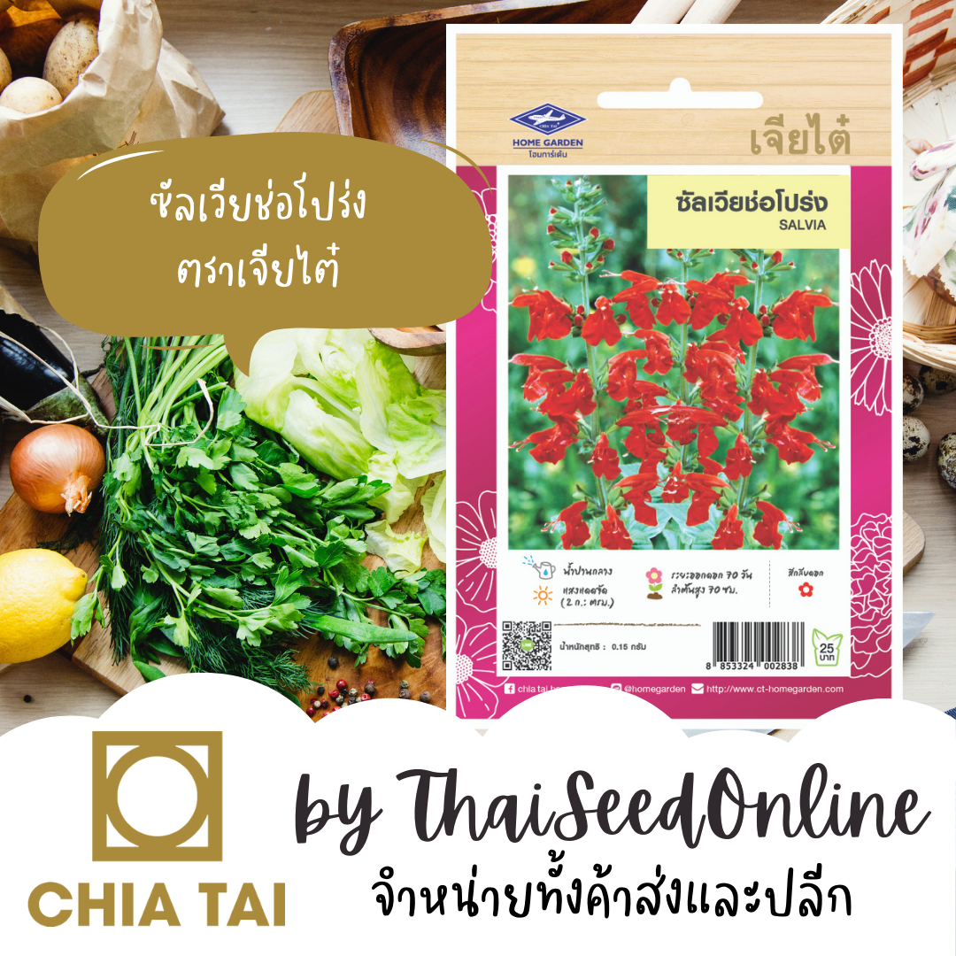 CTFW ซัลเวียช่อโปร่ง สีแดง ตราเจียไต๋ เมล็ดพันธุ์ดอกไม้ Red Salvia