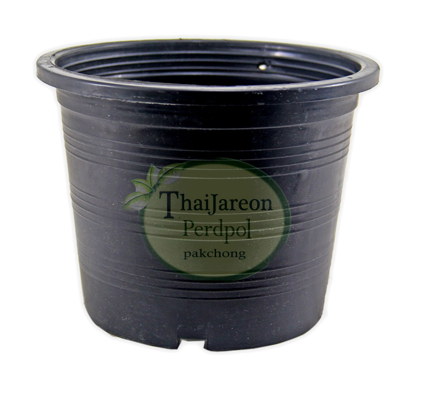 กระถางพลาสติกกลมสีดำ