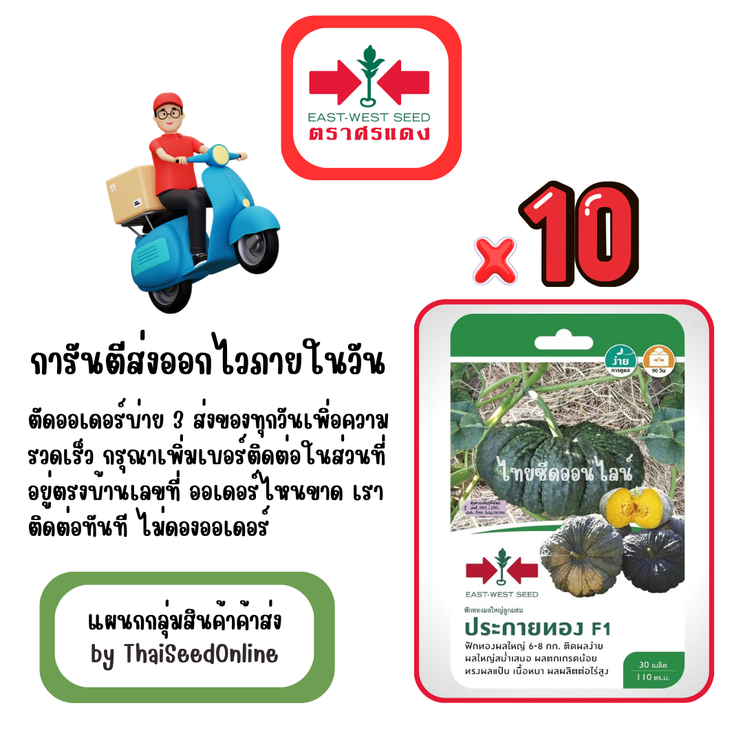 GGx10 เมล็ดผักซองศรแดง ประกายทอง ฟักทอง สินค้ายกแพ็ค