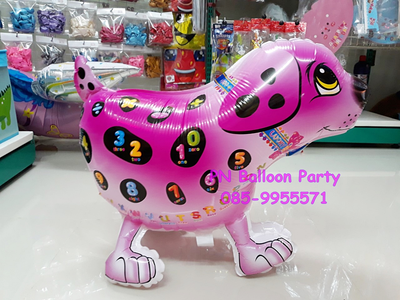 ลูกโป่งสุนัข น้องหมาสี Pink Dog Balloons