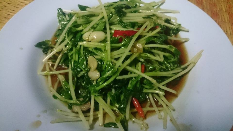 เมล็ดพันธุ์ โต้วเหมี่ยว ต้นอ่อนถั่วลันเตา นำเข้านิวซีแลนด์ หนวดน้อย