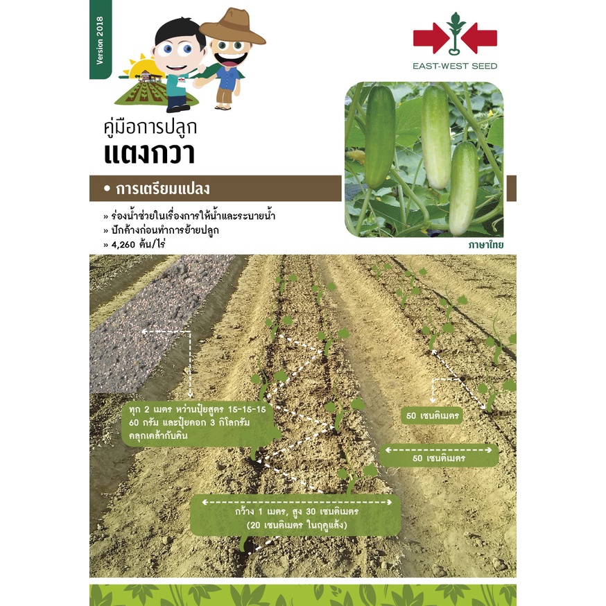GGEW เมล็ดพันธุ์ ซฟ แตงกวาสปีดแม็ก 70 เมล็ด ตราศรแดง