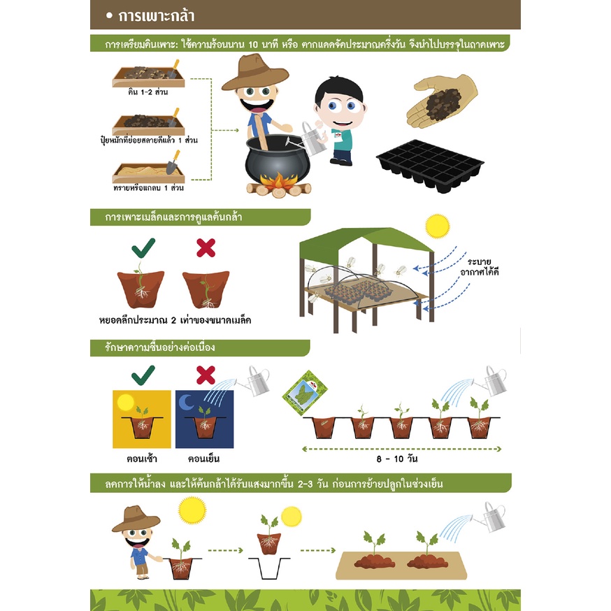 GGEW เมล็ดพันธุ์ซฟ แฟงไส้ตัน ปิ่นเพชร 50 เมล็ด ตราศรแดง