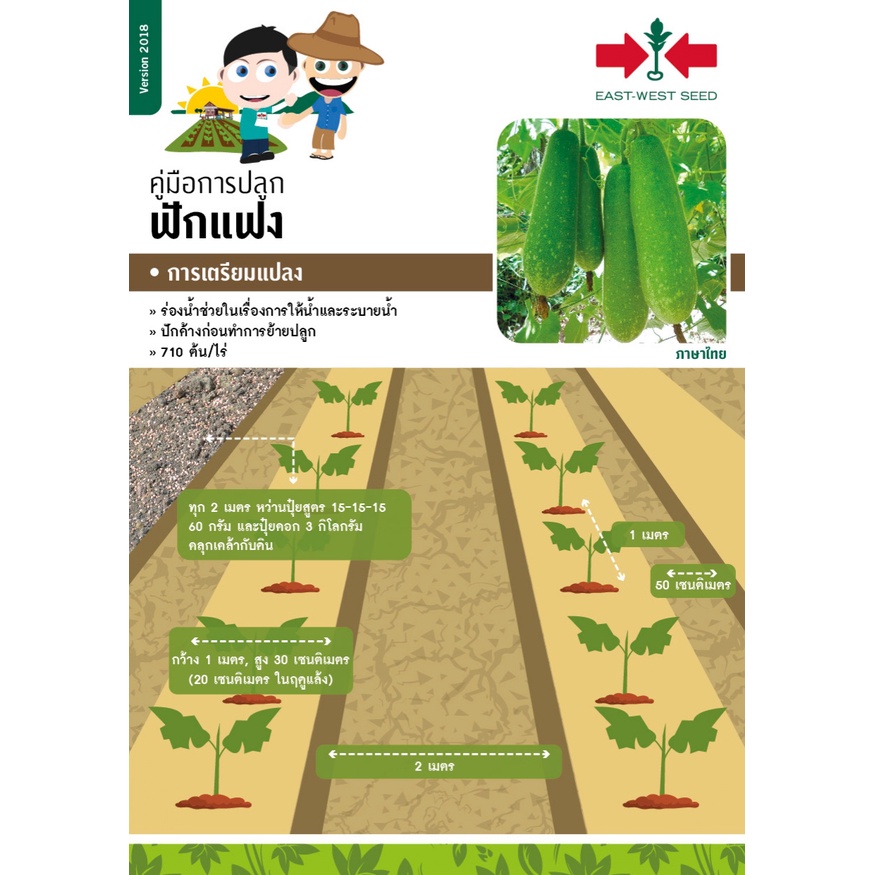 GGEW เมล็ดพันธุ์ซฟ แฟงไส้ตัน ปิ่นทอง 50 เมล็ด ตราศรแดง