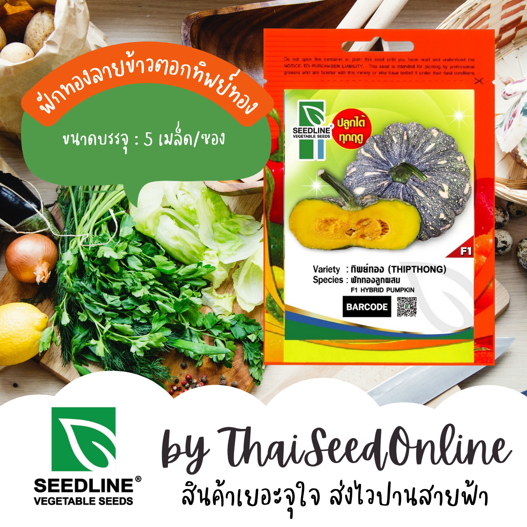 SL เมล็ดพันธุ์ซองเล็ก ฟักทองลายข้าวตอก ทิพย์ทอง ตราซีดไลน์