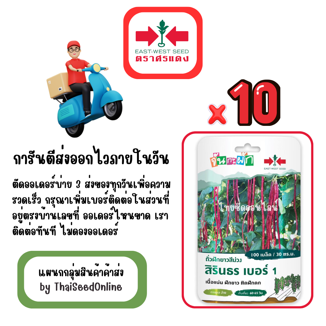 GGx10 เมล็ดผักซองศรแดง สิรินธร ถั่วฝักยาว สินค้ายกแพ็ค