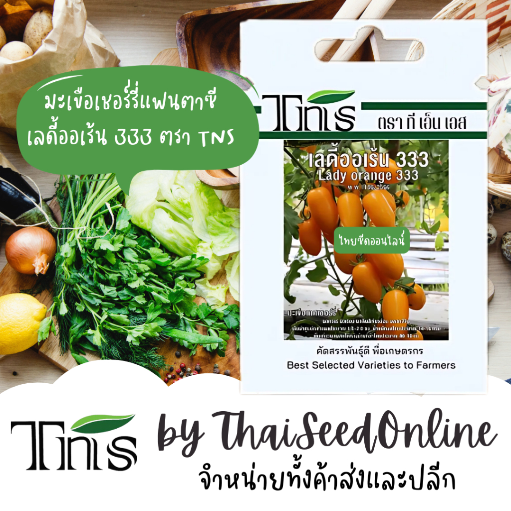 Chia Tai(เจียไต๋) TNS(ทีเอ็นเอส) TNS เมล็ดพันธุ์แบบซองเล็ก มะเขือเชอร์รี่ เลดี้ออเร้นท์333 ตรา ที เอ็น เอส