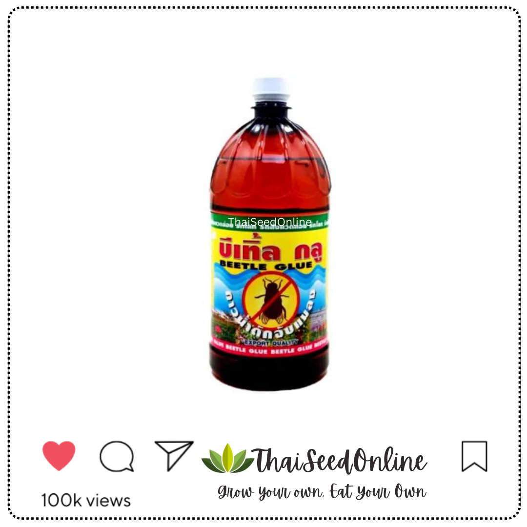 FRUITFLY กาวน้ำล่อแมลงวันทอง บีเทิ้ล กลู 1 ลิตร