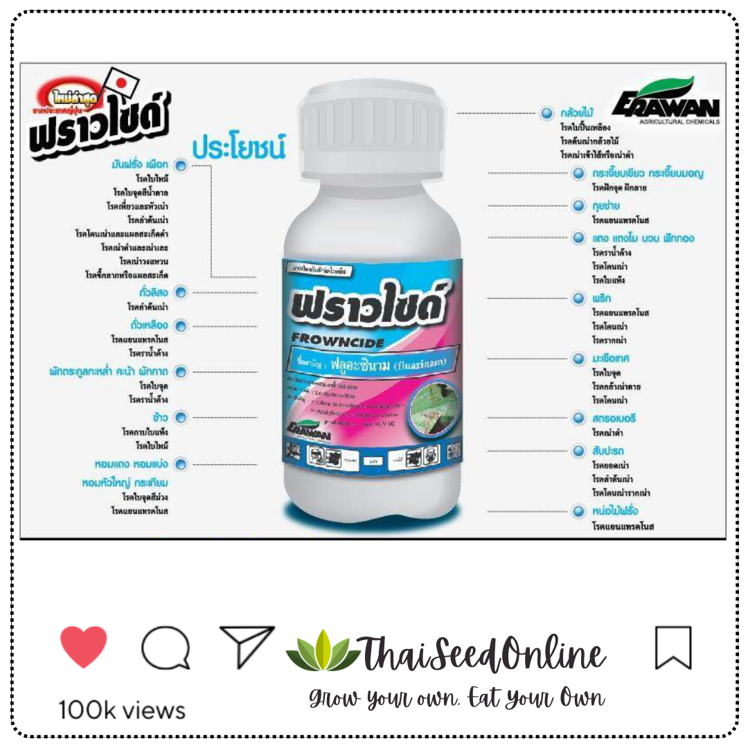 EF ขวด 100ซีซี 💥ใหม่ล่าสุด💥ฟราวไซด์ ฟลูอะซินาม 50% W/V SC นำเข้าจากญี่ปุ่น Fungicide