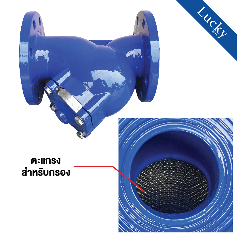 Y Strainer วายสแตนเนอร์ เหล็กหล่อ ขนาด 6 นิ้ว แบบหน้าแปลน 10K