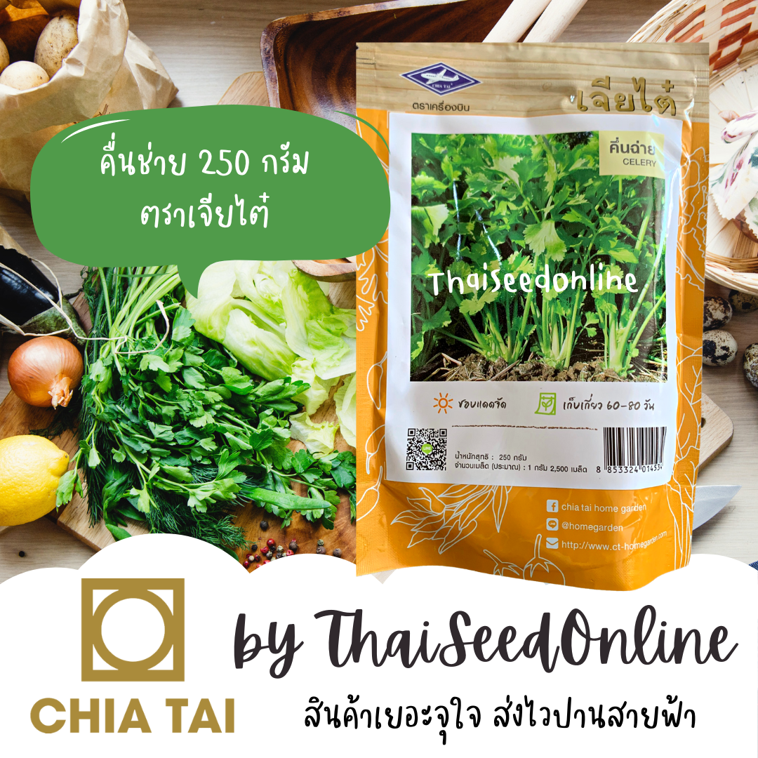 ใหม่‼️ คื่นช่าย ถุงใหญ่ จุ 250กรัม ตราเจียไต๋ คื่นฉ่าย ขึ้นช่าย