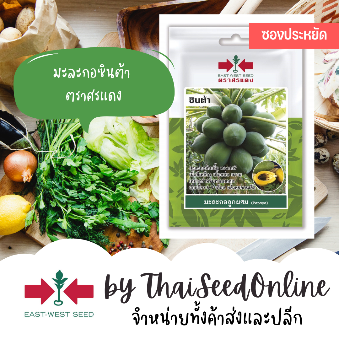 VP3 ซฟ เมล็ดพันธุ์ มะละกอซินต้า 6เมล็ด ตราศรแดง Papaya