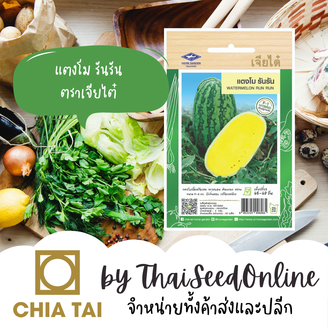 CTF1 เมล็ดพันธุ์ แตงโมรันรัน ตราเจียไต๋ Watermelon RunRun แตงโมเหลือง แตงโมสีเหลือง แตงโมตอปิโดสีเหลือง