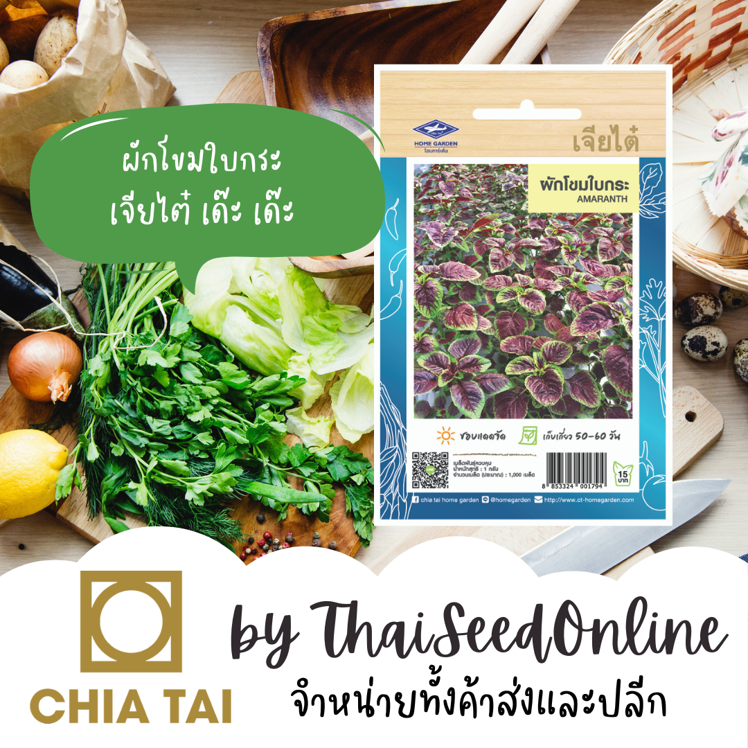 CTOP เมล็ดพันธุ์ ผักโขมใบกระ ตราเจียไต๋