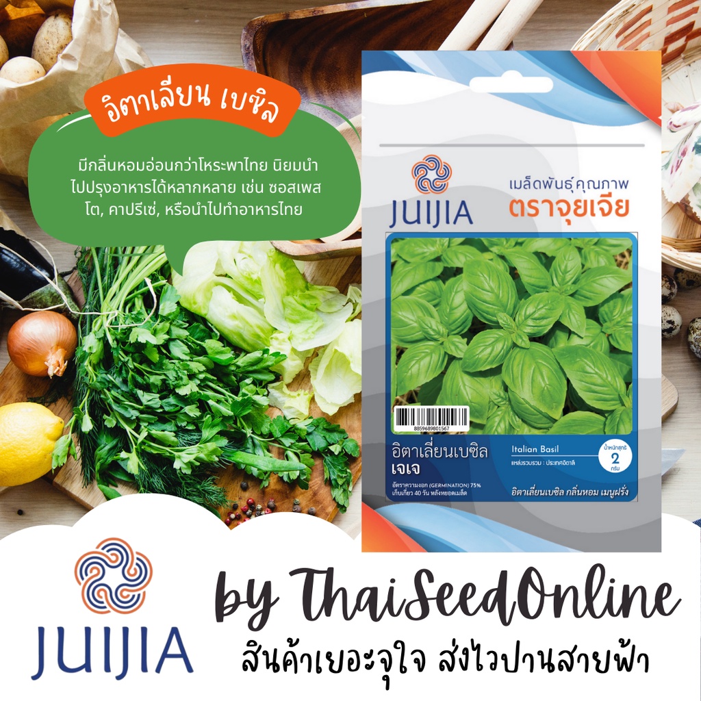 Juijia(จุยเจีย) JJ เมล็ดพันธุ์ จุยเจีย อิตาเลียนเบซิล โหระพาอิตาลี Italian Basil