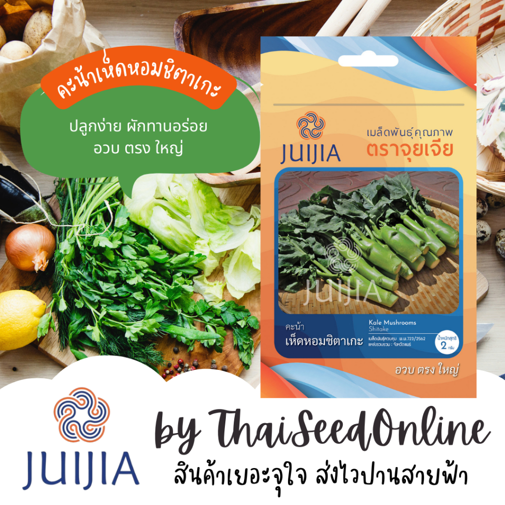 Juijia(จุยเจีย) JJ เมล็ดพันธุ์ จุยเจีย คะน้าเห็ดหอมชิตาเกะ Mushroom Kale