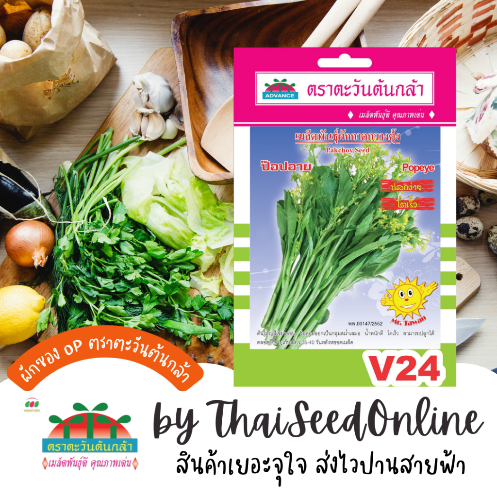Advance Seeds(ตราตะวันต้นกล้า) ADVOP ซฟ เมล็ดพันธุ์ กวางตุ้งดอก ป๊อปอาย ตราตะวันต้นกล้า V24