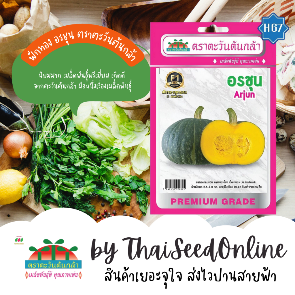 Advance Seeds(ตราตะวันต้นกล้า) ADVF1 เมล็ดพันธุ์ ฟักทอง อรชุน F1 ตราตะวันต้นกล้า H45