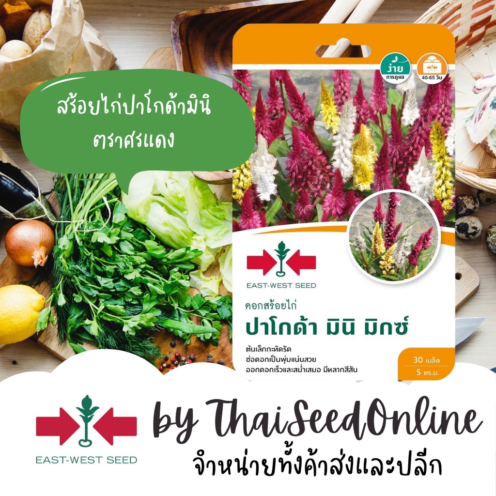 ตราศรแดง GGEW เมล็ดพันธุ์ เมล็ดพันธุ์ดอกไม้ เมล็ดดอกไม้ สร้อยไก่ ปาโกด้ามินิ มิกซ์ 30 เมล็ด ตราศรแดง Mini Celosia Plumosa Seeds