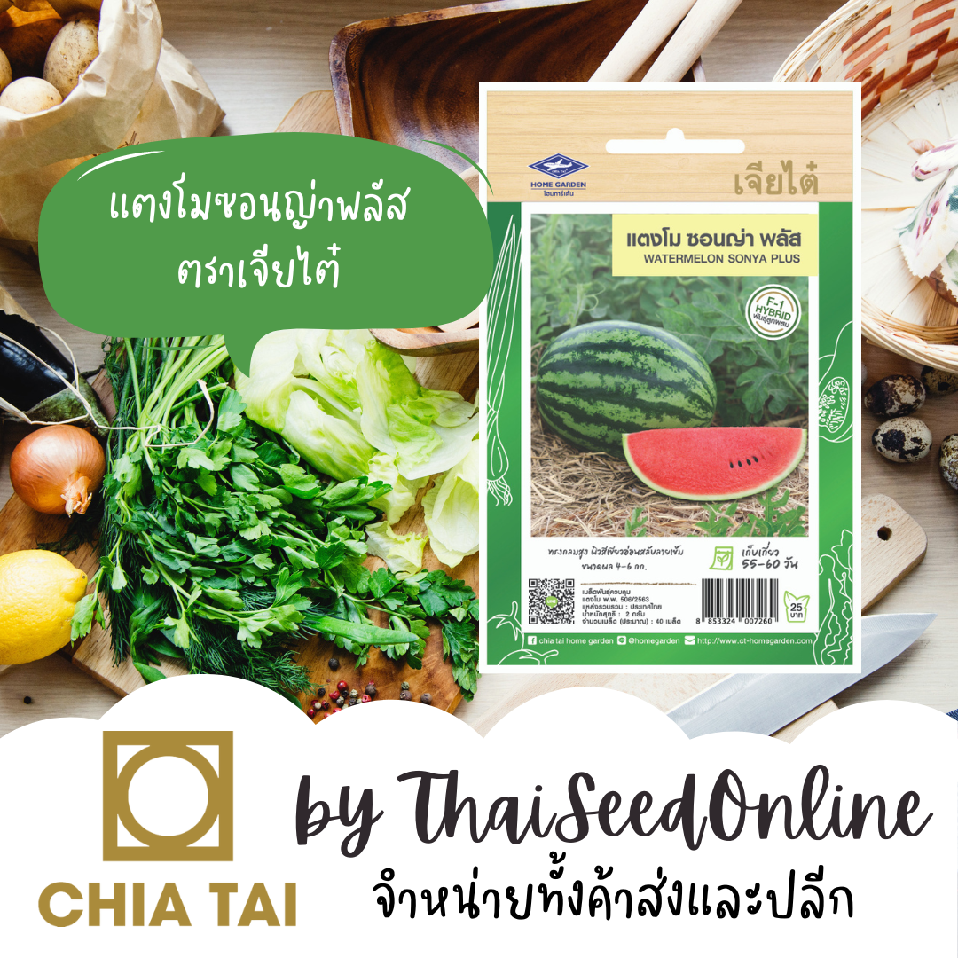 CTF1 เมล็ดพันธุ์ แตงโมลูกผสมซอนญ่าพลัส 20 เมล็ด ตราเจียไต๋ Watermelon