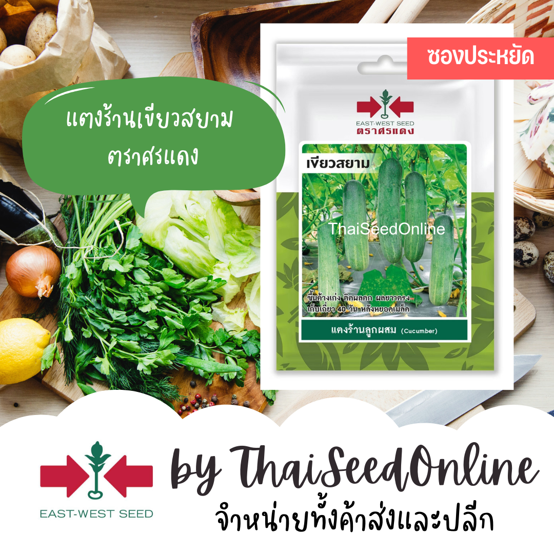 ศรแดง อัพเดทรูปใหม่ VP3 ซฟ เมล็ดพันธุ์ แตงร้านลูกผสม เขียวสยาม 20เมล็ด ตราศรแดง Long Cucumber