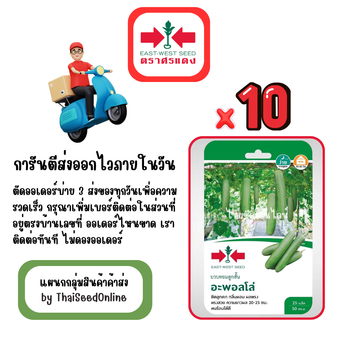 GGx10 เมล็ดผักซองศรแดง อะพอลโล่ บวบหอม สินค้ายกแพ็ค