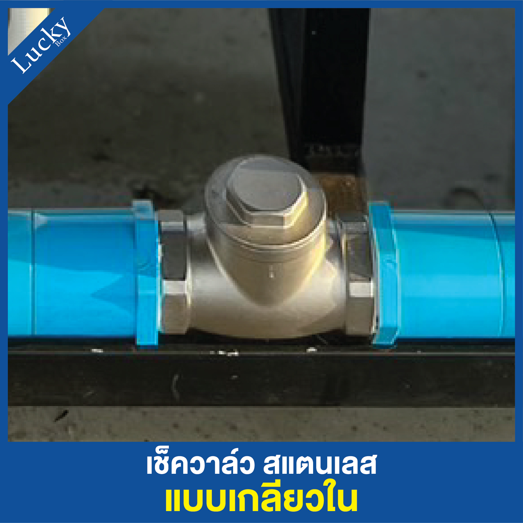 เช็ควาล์วสแตนเลส 304 เแบบเกลียวบานพับแนวนอน ขนาด 4 นิ้ว DN100