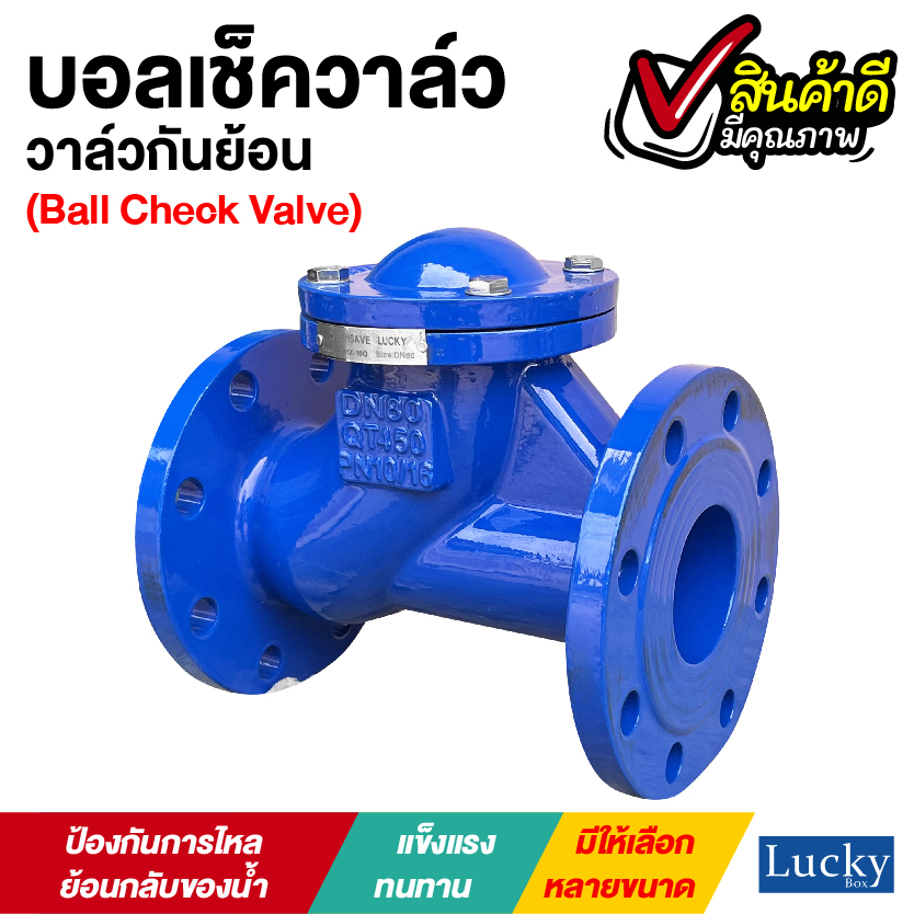 Ball Check Valve บอลเช็ควาล์ว มีหน้าแปลน ขนาด 3 นิ้ว