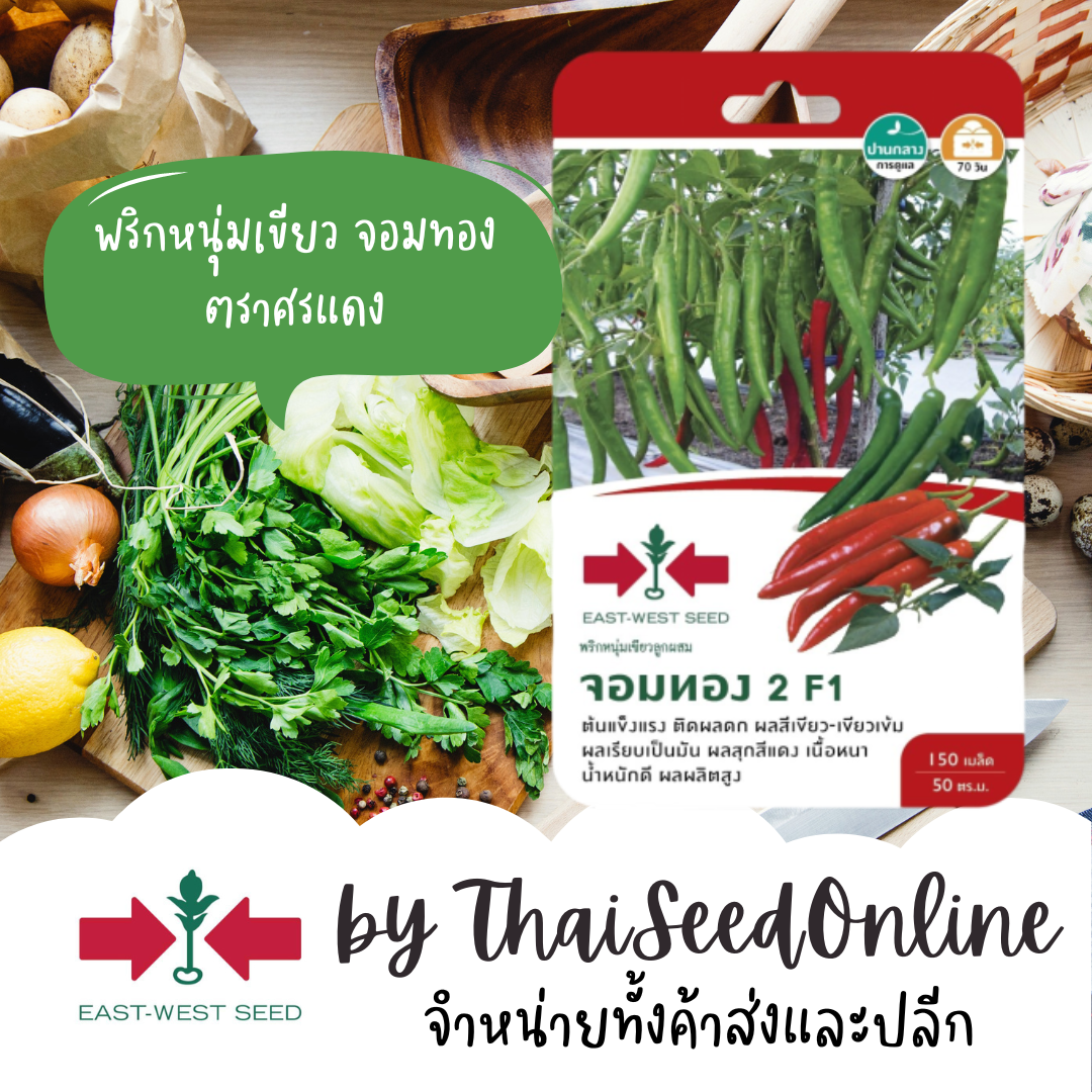 GGEW เมล็ดพันธุ์ พริกหนุ่มเขียว จอมทอง2 ตราศรแดง