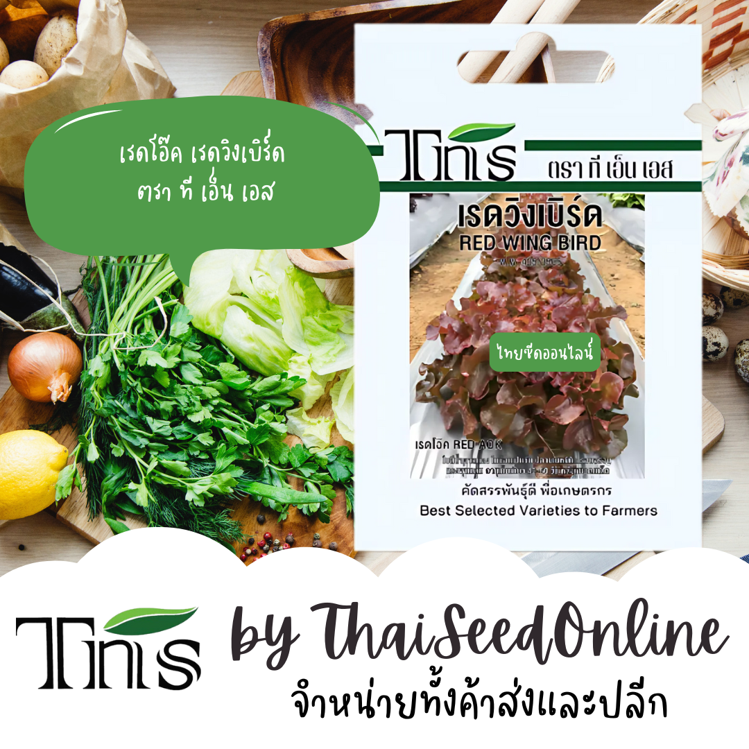 TNS(ทีเอ็นเอส) TNS เมล็ดพันธุ์แบบซองเล็ก เรดโอ๊ค เรดวิงเบิร์ด ตรา ที เอ็น เอส