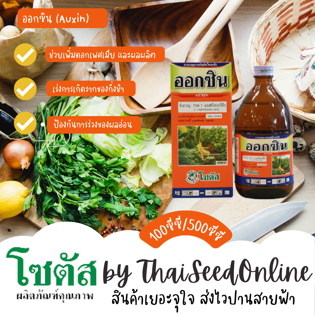ออกซิน (Auxin) ออกซิน เปลี่ยนเพศดอกเงาะ เร่งการเกิดรากของกิ่งชำ โซตัส Hormones