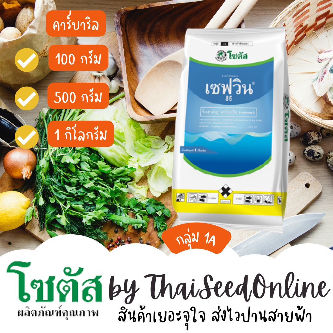 เซฟวิน 85 (Sevin 85) เซฟวิน 85 หมดปัญหา หนอน ด้วง มด สารคาร์บาริล PESTICIDE โซตัส